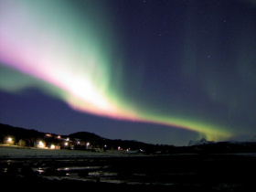 Killer whales & Northern Lights, Norway